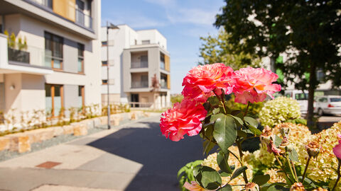 Blick in eine Straße mit Neubauten
