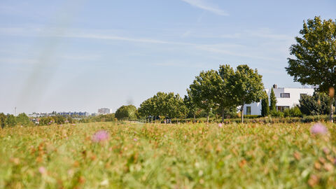 Blick von Wiese auf neu gebautes Haus