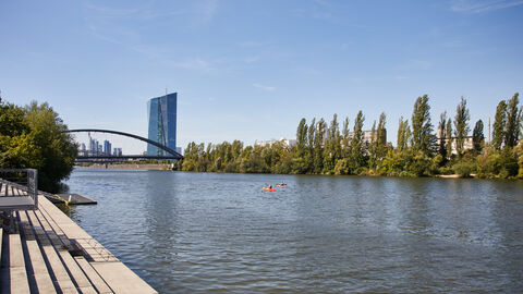 Blick über den Main auf die Europäische Zentralbank