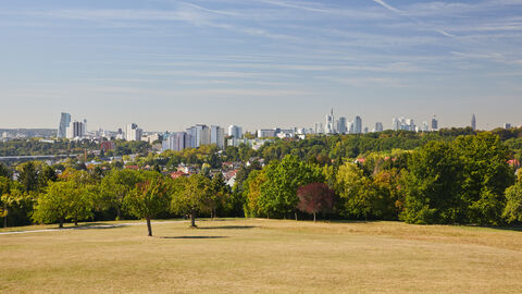 Blick über Wiese und Bäume auf Frankfurter Skyline