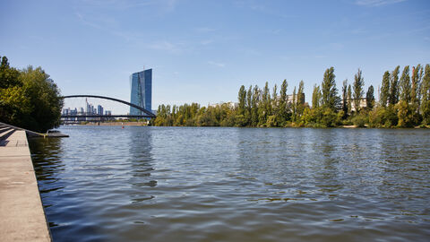 Blick über den Main auf die Europäische Zentralbank