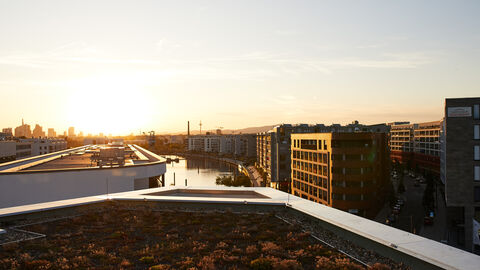 Blick von einem Dach über die Stadt Frankfurt