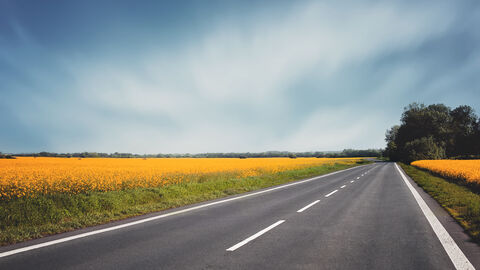 Landstraße mit Rapsfeldern am Straßenrand