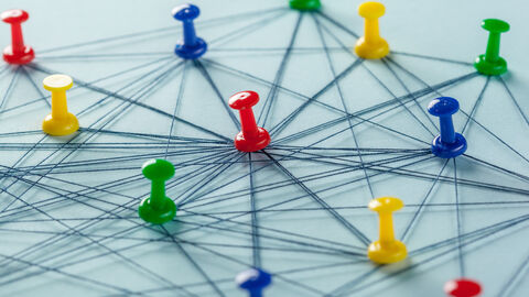 Pinnnadeln wurden mit einem Faden zu einem Netzwerk verbunden