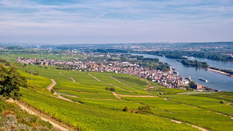 Blick auf Rüdesheim am Rhein  Blick auf Rüdesheim am Rhein
