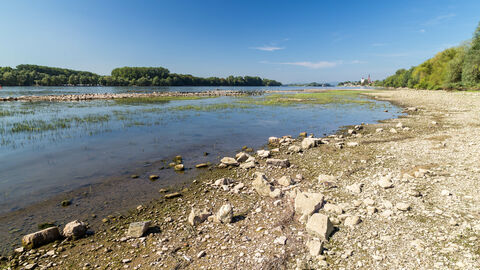Rheinufer in der Nähe von Eltville