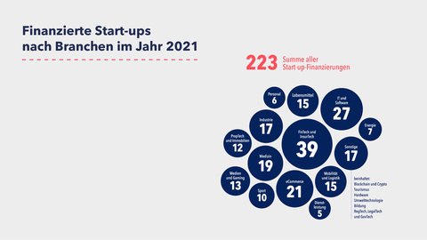 Finanzierte Start-ups nach Branchen im Jahr 2021 2021 wurden 223 Start-ups unterschiedlichster Branchen finanziert