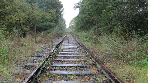 Bewachsener Schienenstrang einer stillgelegten Strecke