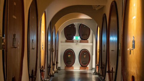 Unternehmensbesuch bei Henkell