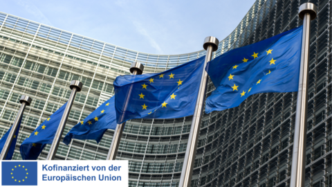 Fünf Europaflaggen wehen an Fahnenmasten vor Verwaltungsgebäude