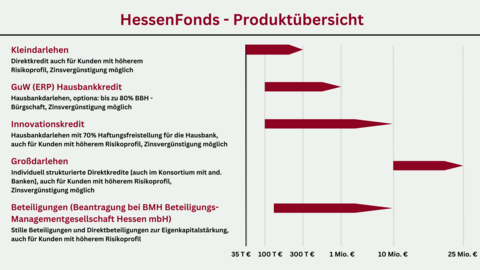 Grafische Darstellung der Produkte im HessenFonds