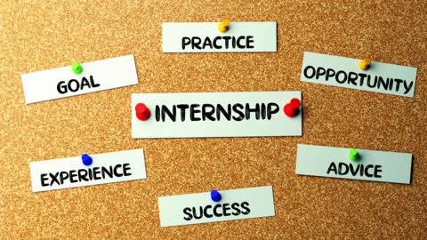 Eine Pinntafel an der mehrere Begriffe angeheftet sind